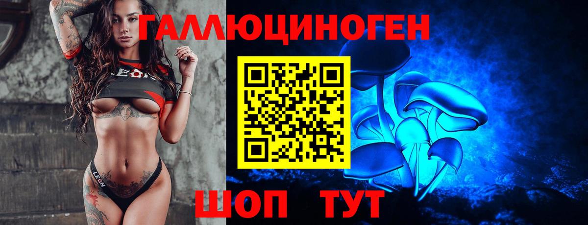 Псилоцибиновые грибы прущие грибы Грозный